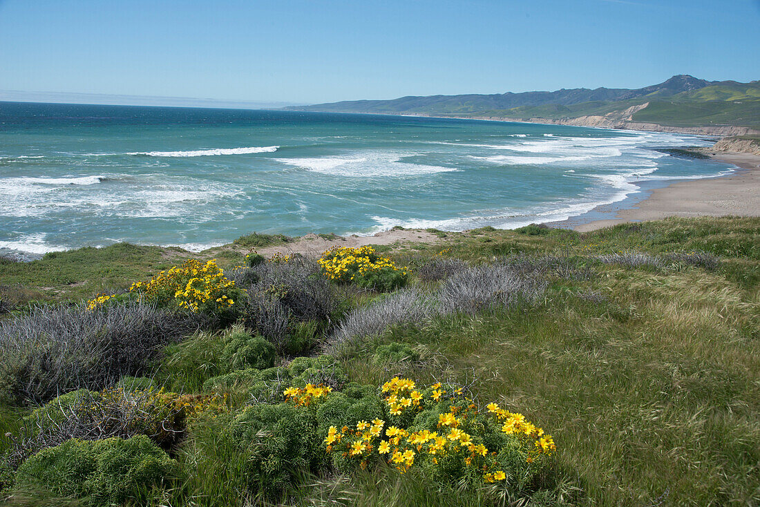 Blick auf Jalama Beach County Park, in der Nähe von Lompoc, Kalifornien, Vereinigte Staaten von Amerika, Nordamerika