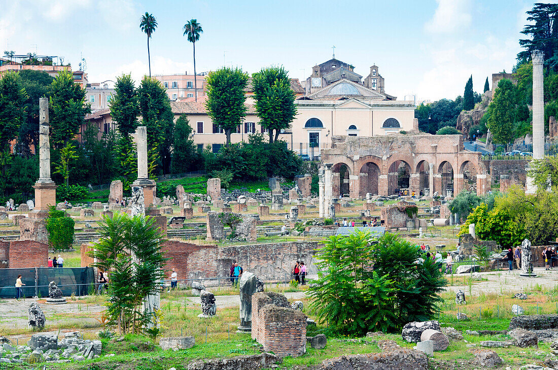 Forum von Nerva, Forum Romanum (Foro Romano), UNESCO Weltkulturerbe, Rom, Latium, Italien, Europa
