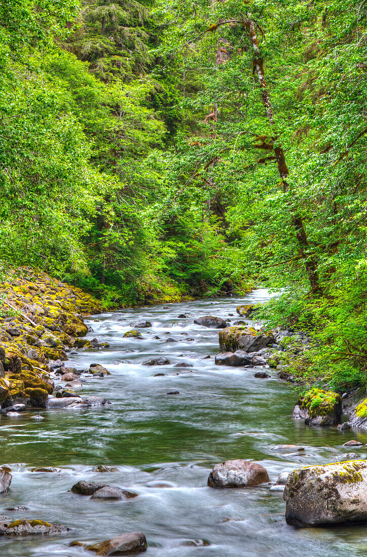 Sol Doc River, Olympic National Park, UNESCO World Heritage Site, Washington, United States of America, North America