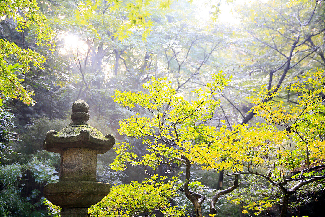 Der Sankeien Garten, Yokohama, Tokio, Japan, Asien