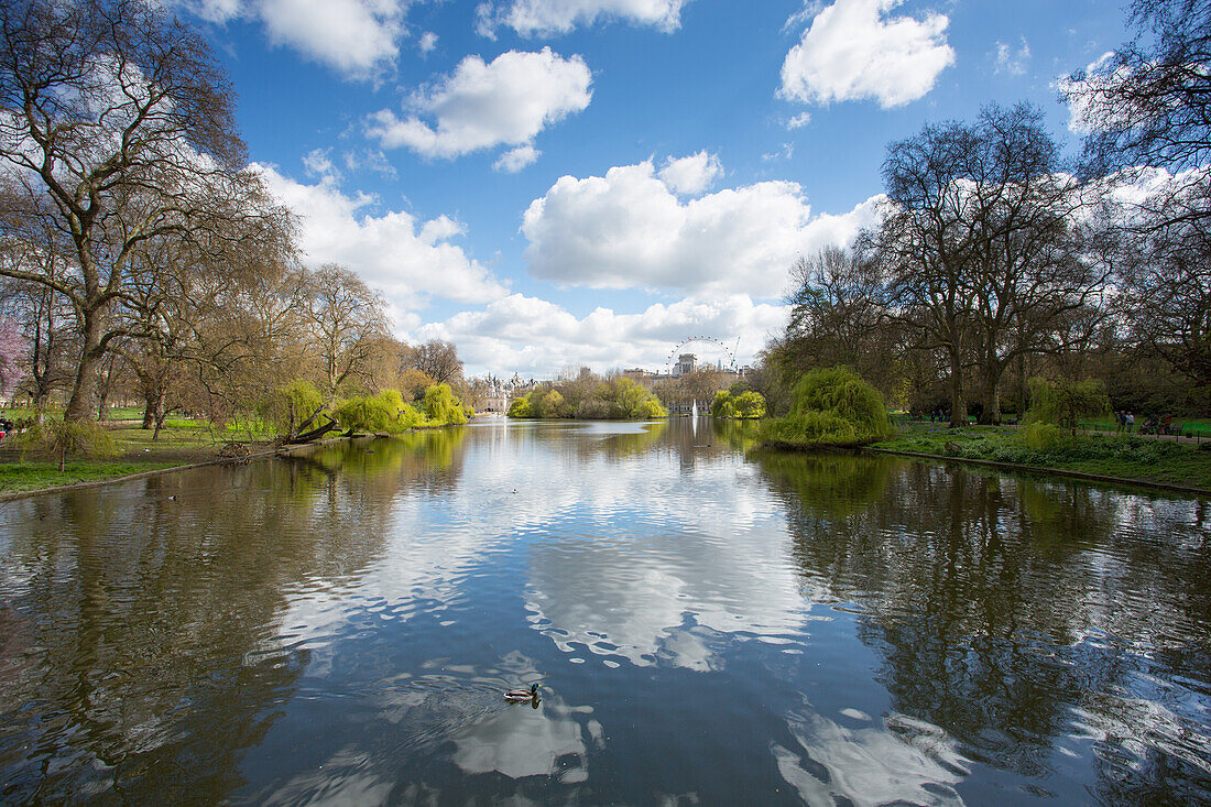 St. James's Park, Whitehall, Westminster, London, England, United Kingdom, Europe