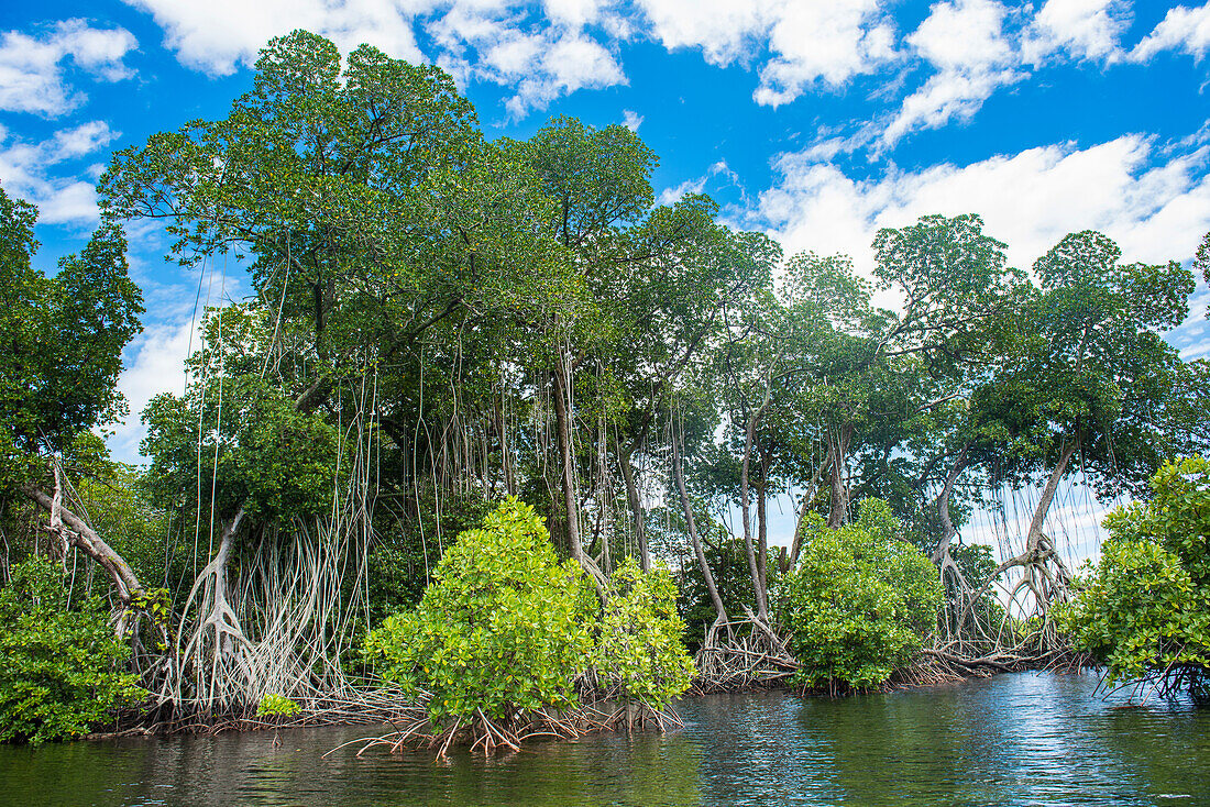 Kristallklares Wasser in der Utauer Lagune, UNESCO Biosphärenreservat, Kosrae, Föderierte Staaten von Mikronesien, Südpazifik