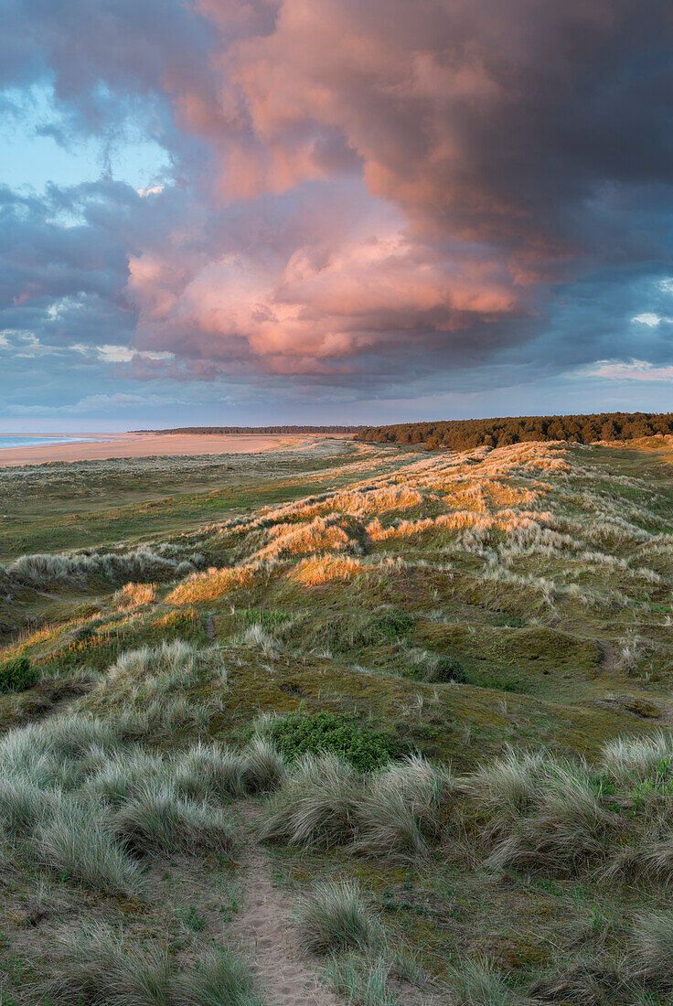 A view from the dunes of Holkham Bay, Norfolk, England, United Kingdom, Europe