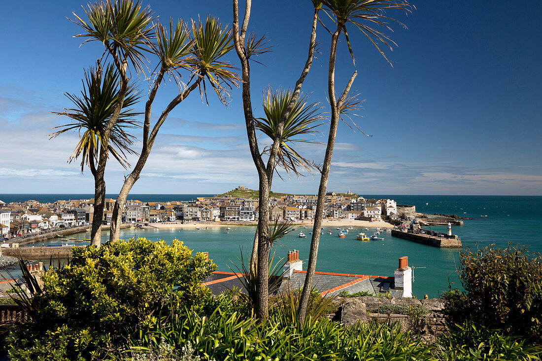 View of old town and harbour with Smeatons Pier viewed from The Malakoff, St. Ives, Cornwall, England, United Kingdom, Europe
