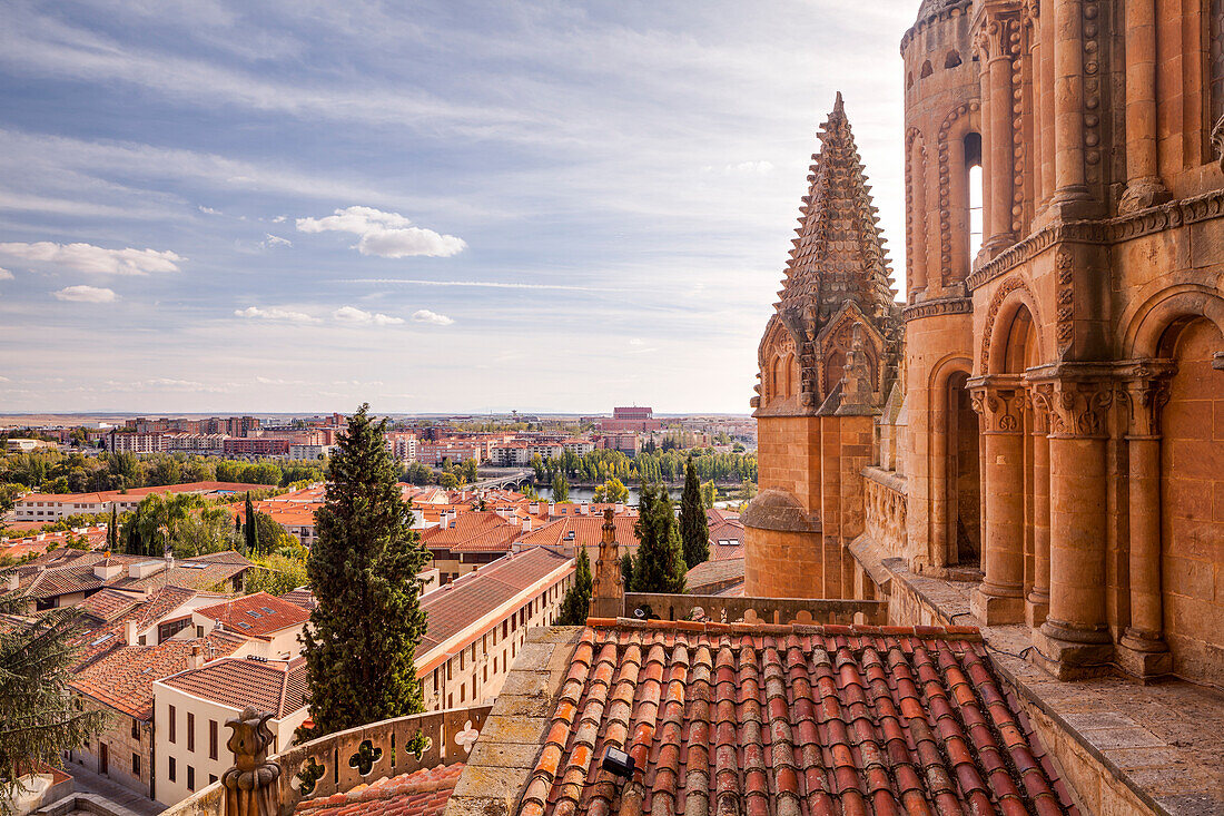 Die Kathedrale in Salamanca, UNESCO Weltkulturerbe, Kastilien und Leon, Spanien, Europa