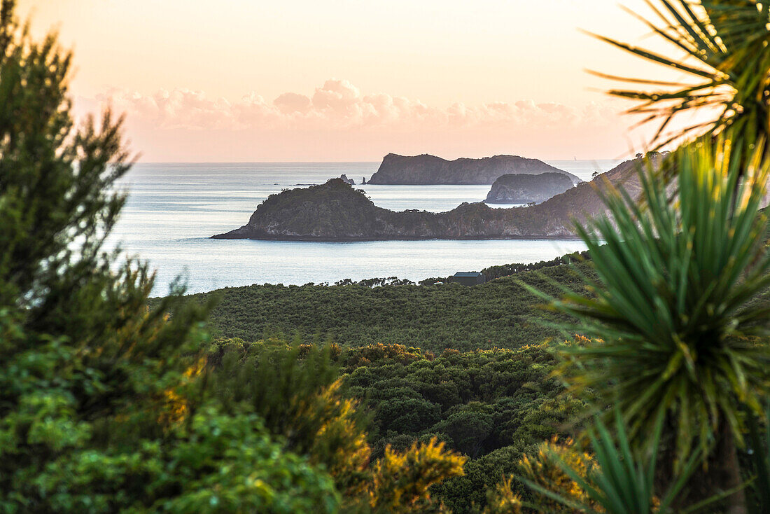 Bay of Islands Küste bei Sonnenaufgang, gesehen von Russell, Northland Region, Nordinsel, Neuseeland, Pazifik