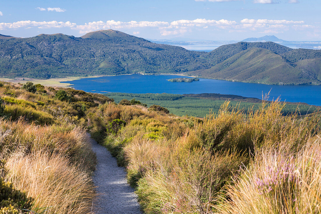 See Rotoaira gesehen auf der Tongariro Alpine Crossing, Tongariro Nationalpark, UNESCO Weltkulturerbe, Nordinsel, Neuseeland, Pazifik