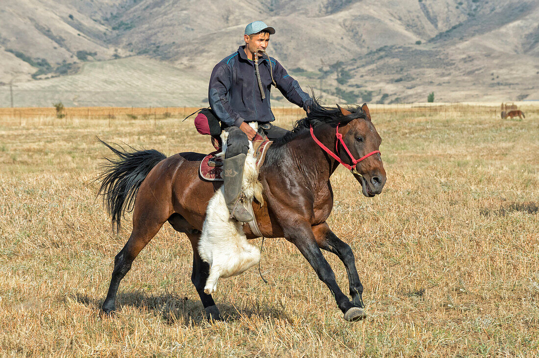 Traditionelle Kokpar (buzkashi) am Rande des Gabagly Nationalparks, Shymkent, Südliche Region, Kasachstan, Zentralasien