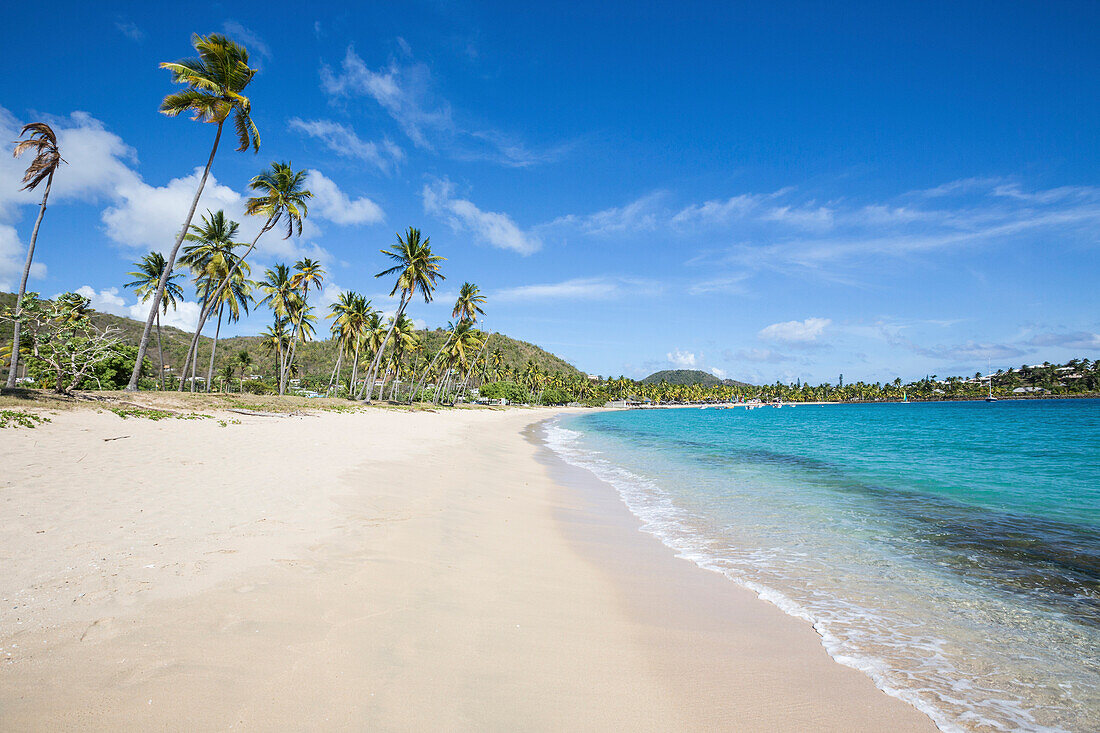 The long beach surrounded by palm trees and the Caribbean Sea, Morris Bay, Antigua and Barbuda, Leeward Islands, West Indies, Caribbean, Central America