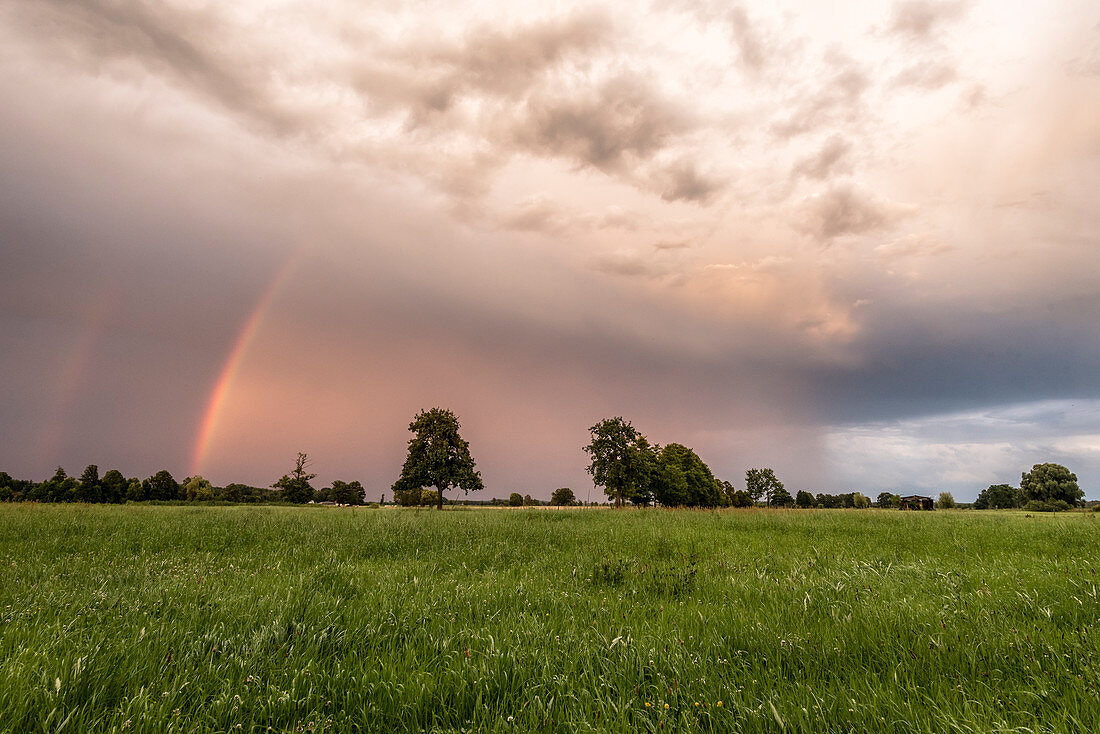 Rainbow over a meadow, biosphere reserve, cultural landscape, Spreewald, Brandenburg, Germany