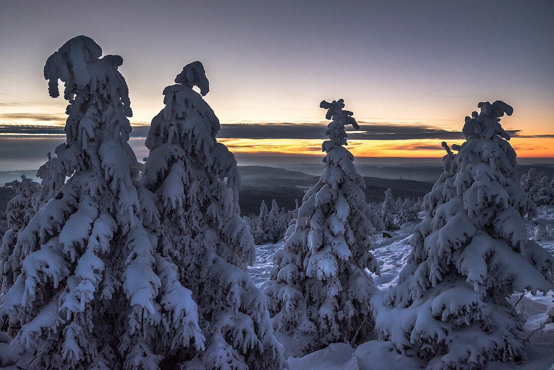 Sonnenuntergang und Winterlandschaft, Schierke, Brocken, Nationalpark Harz, Mittelgebirge, Sachsen-Anhalt, Deutschland