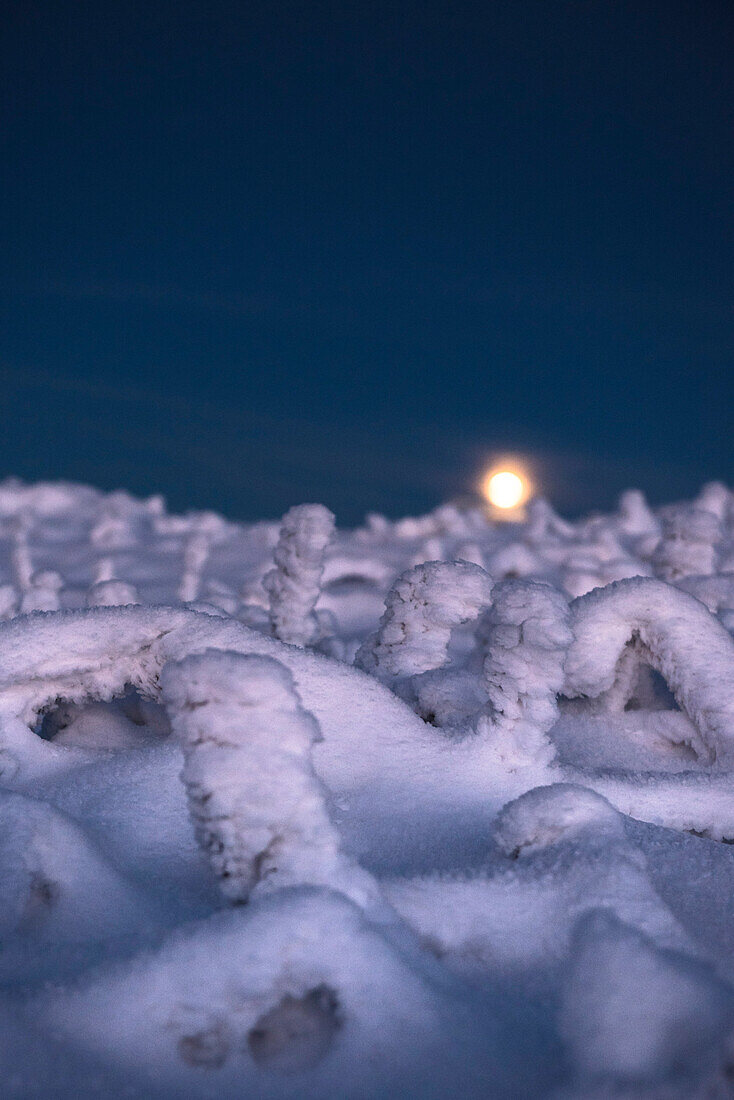 Full Moon, Super Moo and Winter landscape, Schierke, Brocken, Harz national park, Saxony, Germany