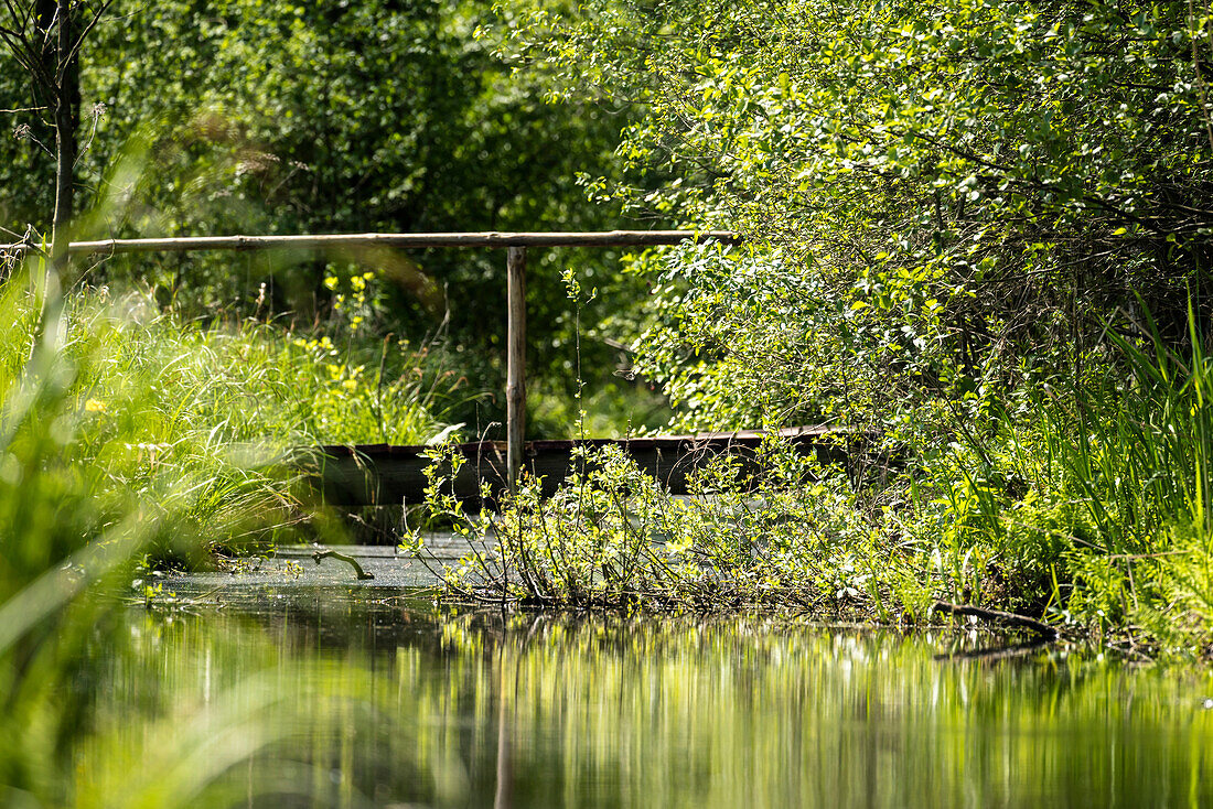 River, biosphere reserve, cultural landscape, summer, Spreewald, Brandenburg, Germany