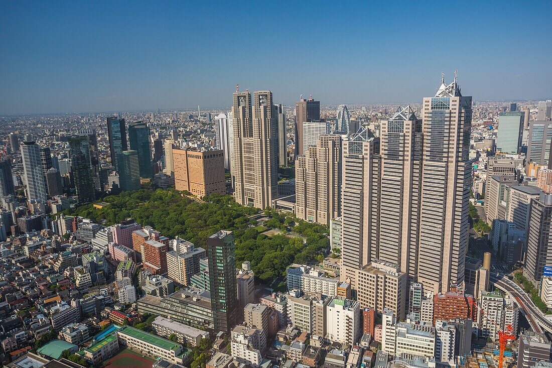 Japan, Tokyo City, Shinjuku District, Central Park, Tocho Bldg, Park Tower Bldg.