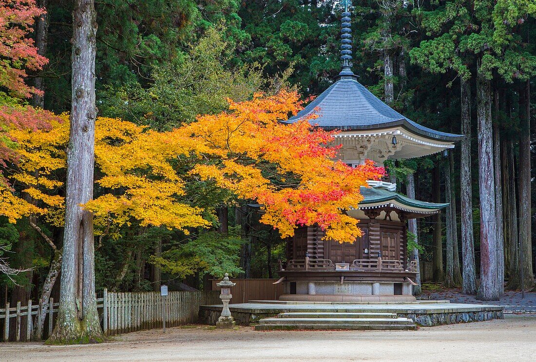 Japan, Koyasan City, Kongobuji-Tempel, Rokkaku Kyozou.