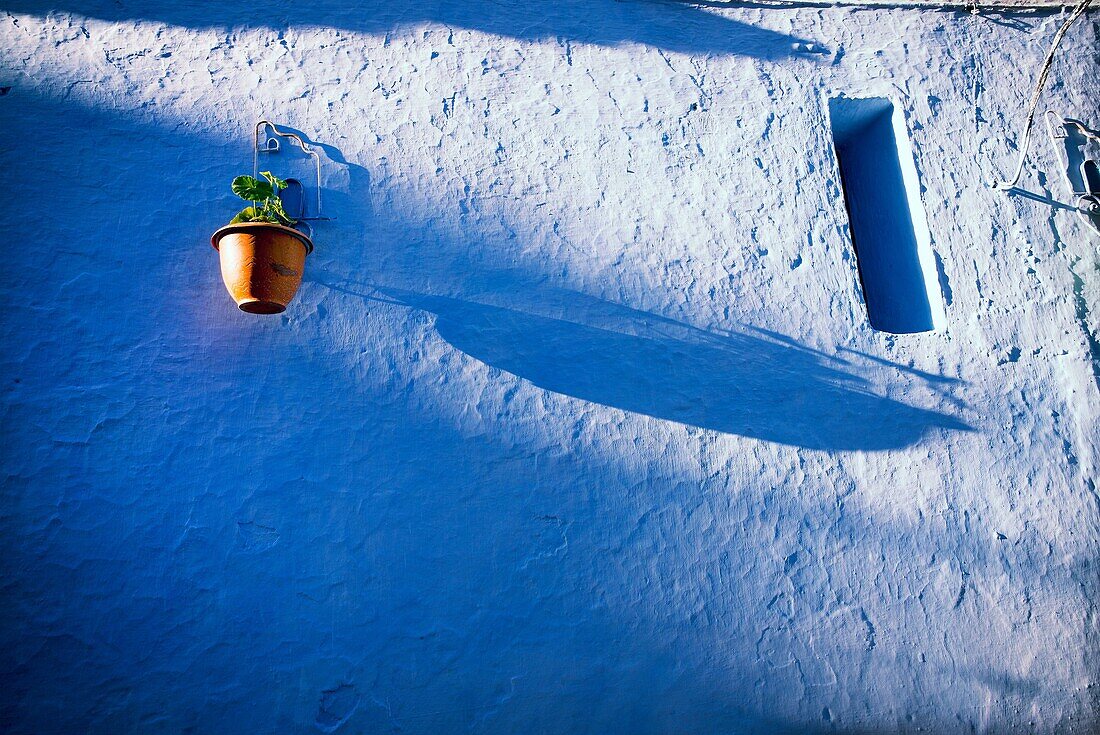 Blaue Wand, Fenster und Blumentopf mit einer Pflanze. Chaouen, Marokko