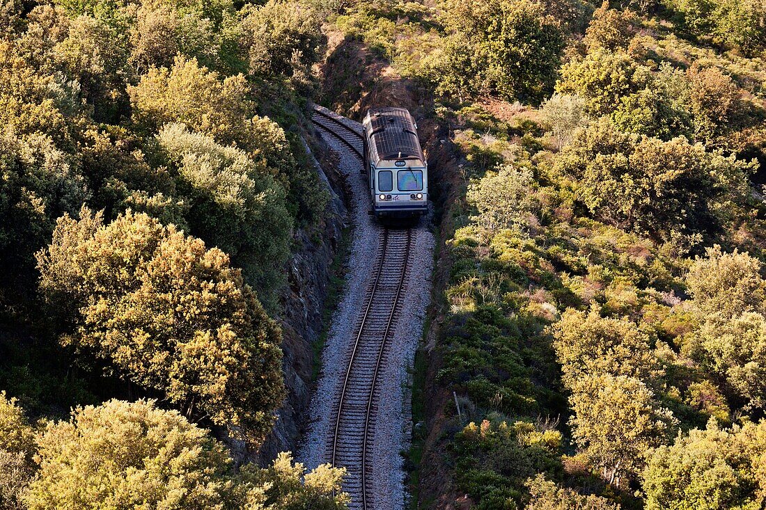 France, Corsica, Haute-Corse Department, La Balagne Region, Belgodere, elevated view of the Tramway de la Balagne train