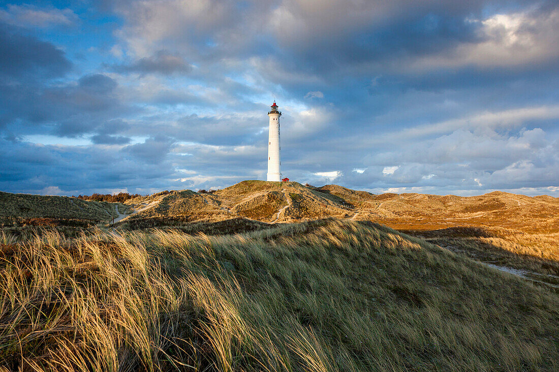 Denmark, Jutland, Danish Riviera, Hvide Sande, Lyngvig Fyr Lighthouse, dusk.