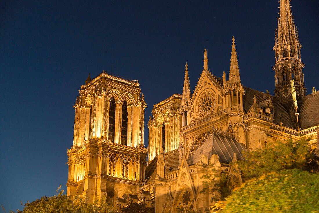 EU, France, Paris. The iconic, Gothic, Notre Dame Cathedral illuminated against the night sky. Viewed from sunset sightseeing boat on the River Seine.