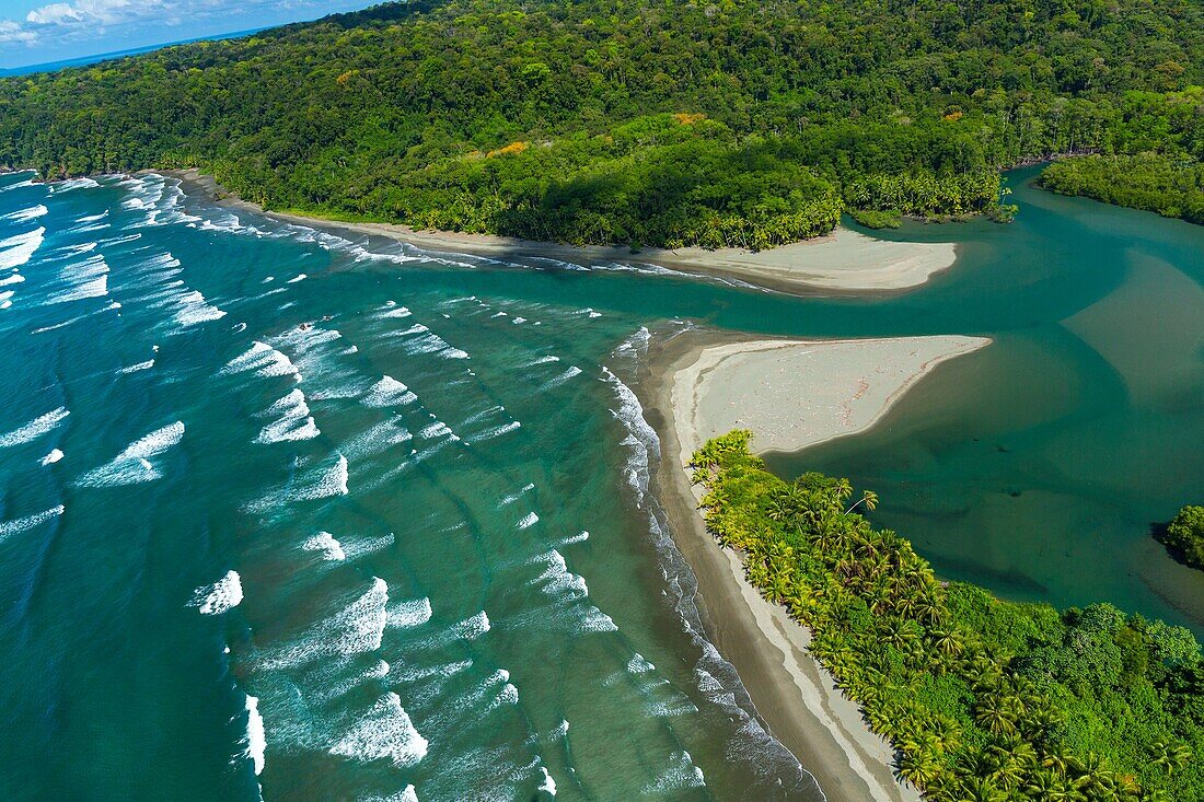 Corcovado National Park, Osa Peninsula, Puntarenas Province, Costa Rica, Central America, America.