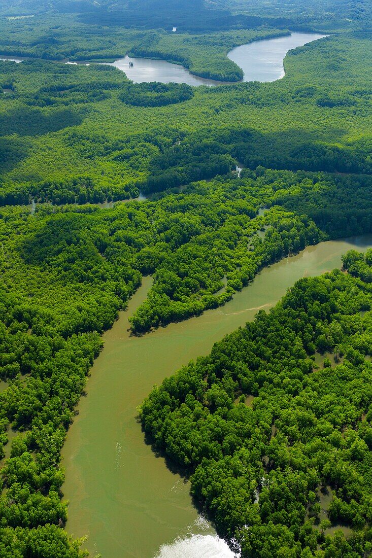 Aerial view of Delta Sierpe River Terraba, Corcovado National Park, Osa Peninsula, Puntarenas Province, Costa Rica, Central America, America.