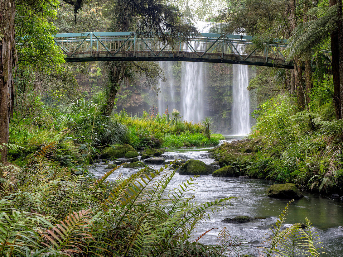 Whangarei Falls, Whangarei, Northland, New Zealand High Dynamic Range Images