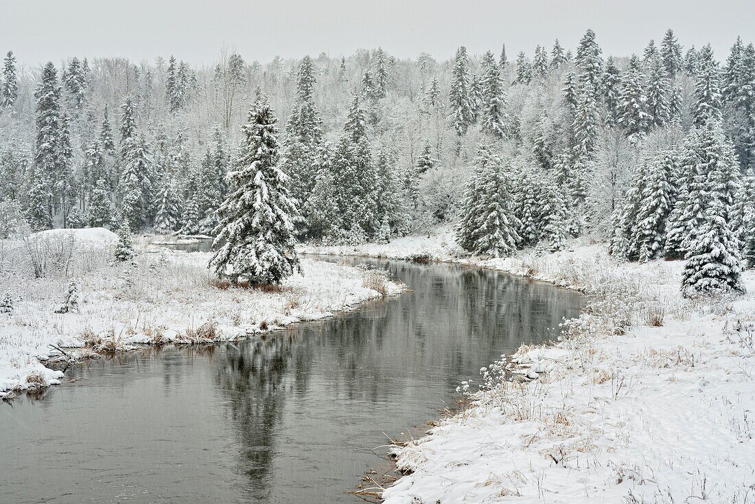 An early winter snowfall in Junction Creek Valley, Greater Sudbury, Ontario, Canada.