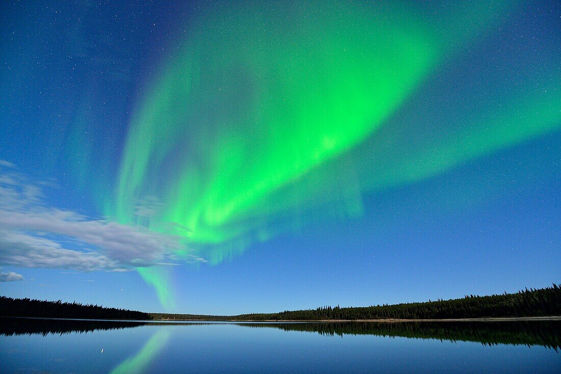 Aurora borelais (Northern Lights) over Pine Lake in moonlight, Wood Buffalo Ntional Park, Alberta, Canada.