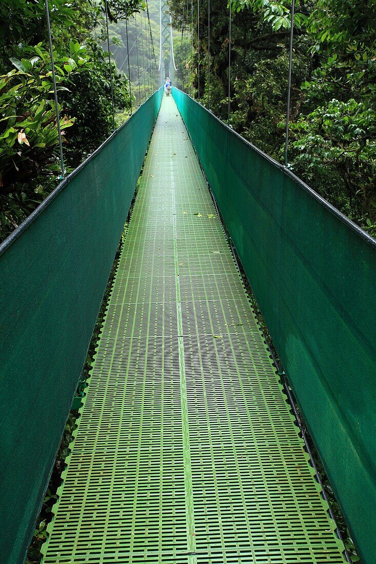 Sky Walk suspension bridge, Monteverde Cloud Forest Reserve, Costa Rica