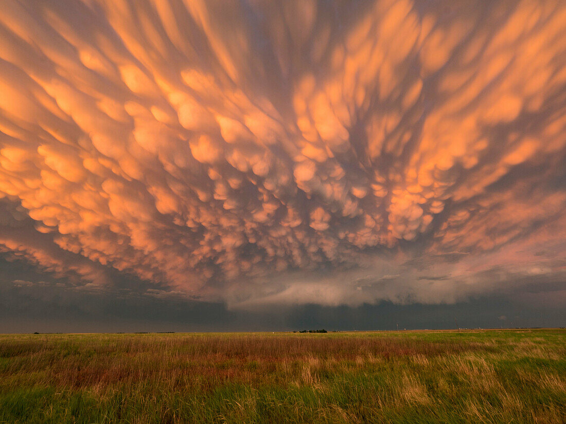 Mammatus clouds at sunset minutes after a tornado near Dodge City, Kansas on May 24, 2016.