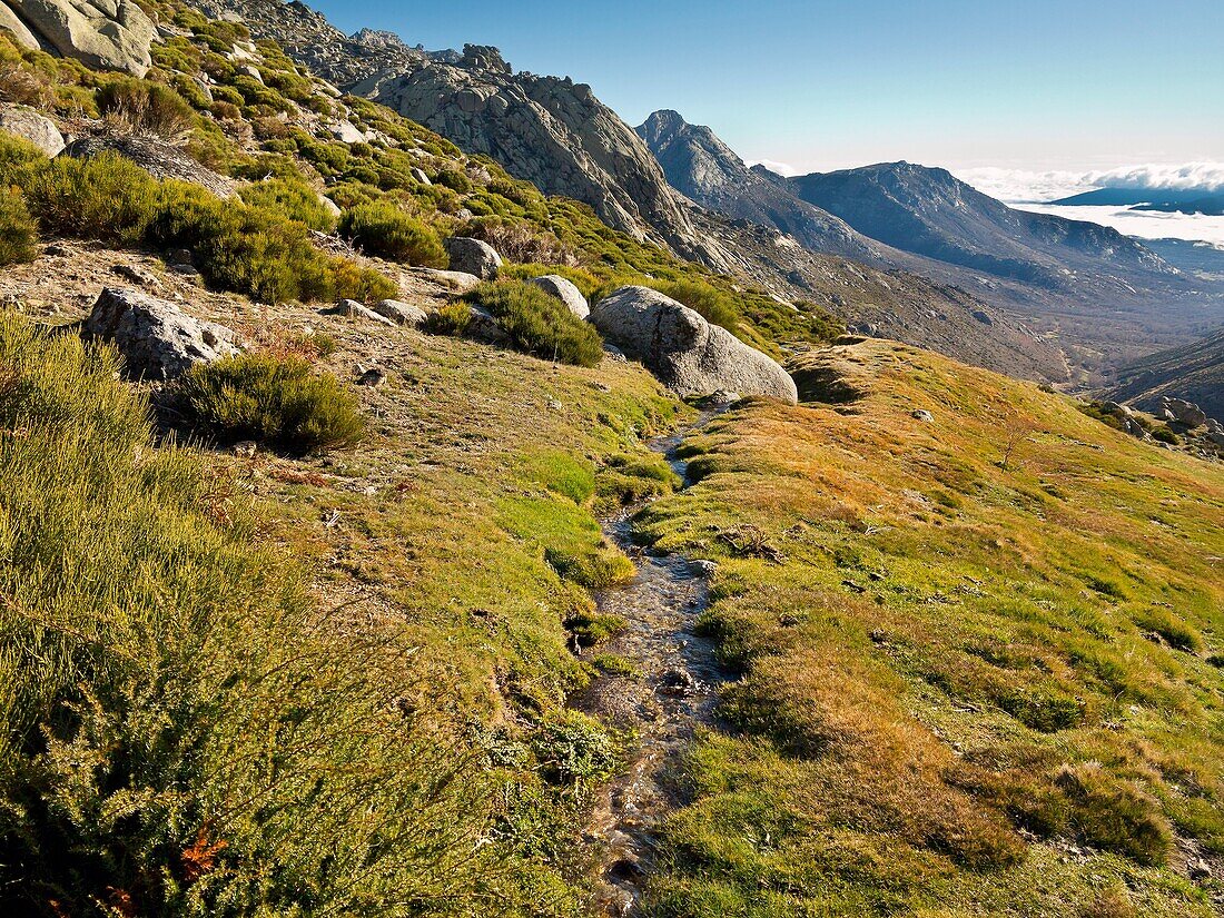 Sierra de la Paramera. Navandrinal. Avila. Castilla Leon. Spain. Europe.