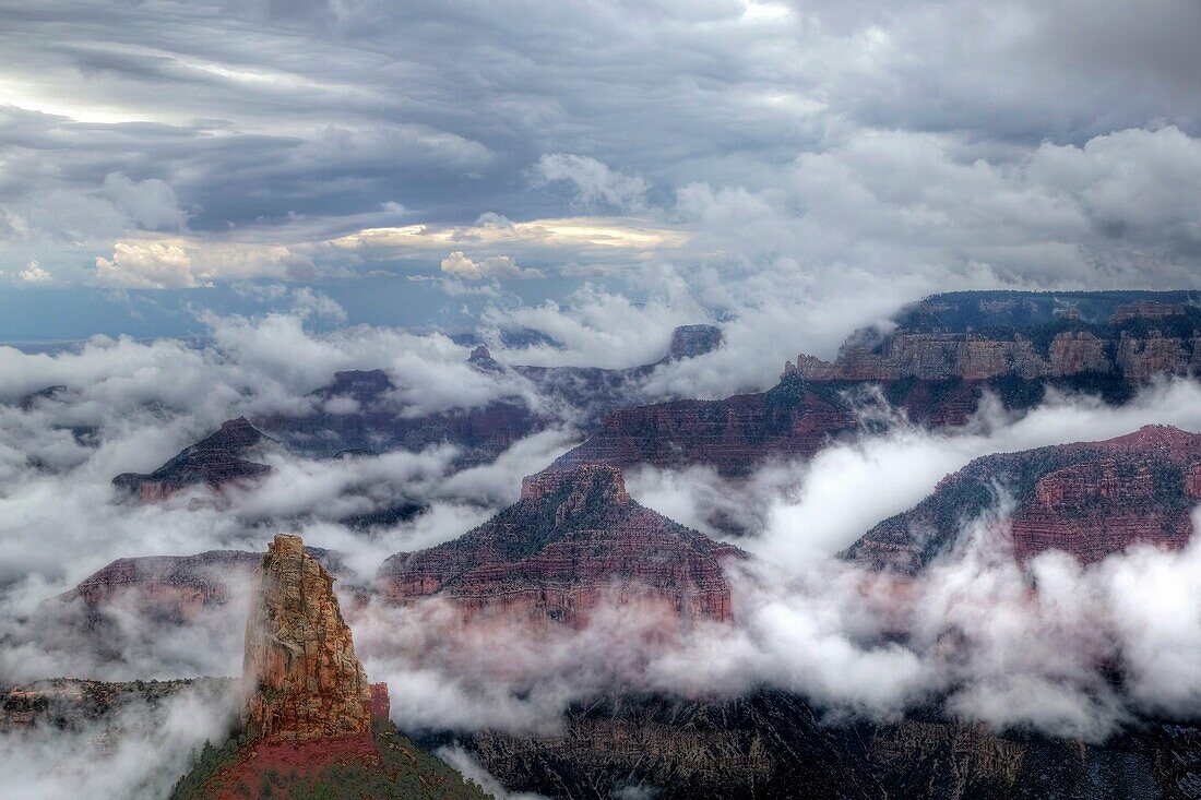 Fog lifts from the Bottom of The Grand Canyon from Point Imperial at Grand Canyon National Park, Arizona.