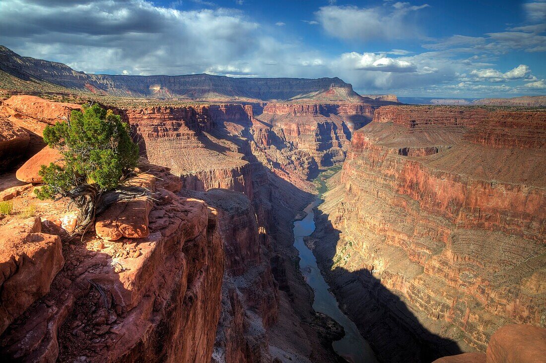 Arizona's Grand Canyon at Toroweap at Grand Canyon National Park.