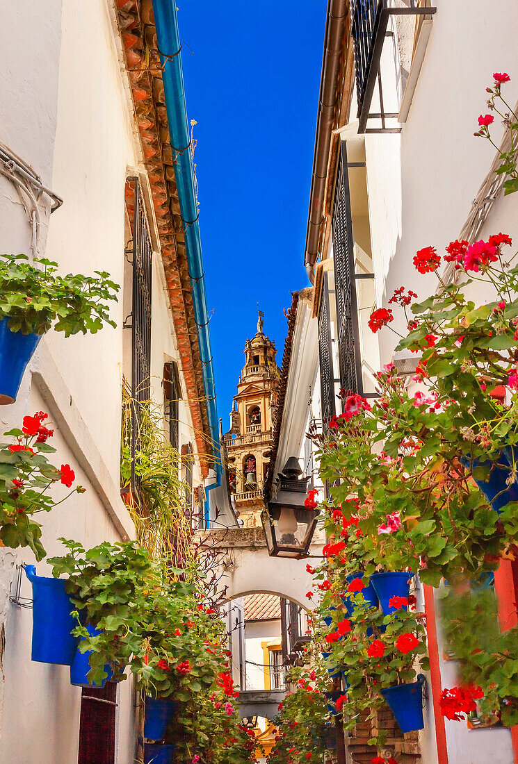 Flower Street Calleja de las Flores Old Torre del Alminar Bell Tower Mezquita Cordoba Andalusia Spain. Mezquita created in 785 as a Mosque, converted to a Cathedral in the 1500. Calleja de las Flores old Jewish quarter of Cordoba.