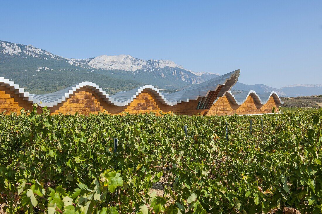 Ysios wine cellar at Laguardia, architecture by Santiago Calatrava, La Rioja, Spain