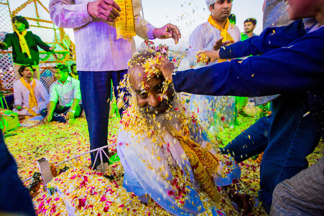 Guru bekommen Blütenblätter über sein Gesicht während der Flower Holi Festival, Vrindavan, Uttar Pradesh, Indien, Asien geworfen