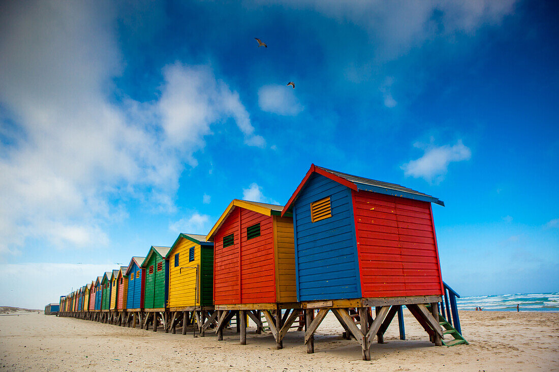 Colorful beach shacks, Muizenberg Beach, Cape Town, South Africa, Africa