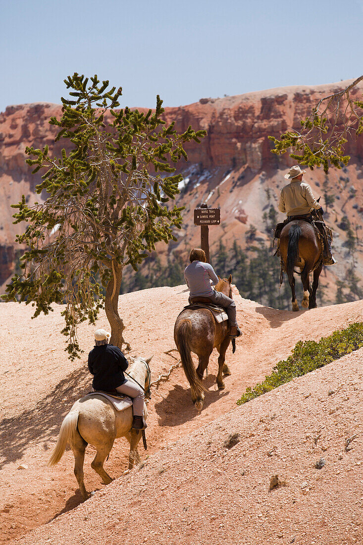 Horseback riding through Bryce Canyon National Park, Utah, United States of America, North America
