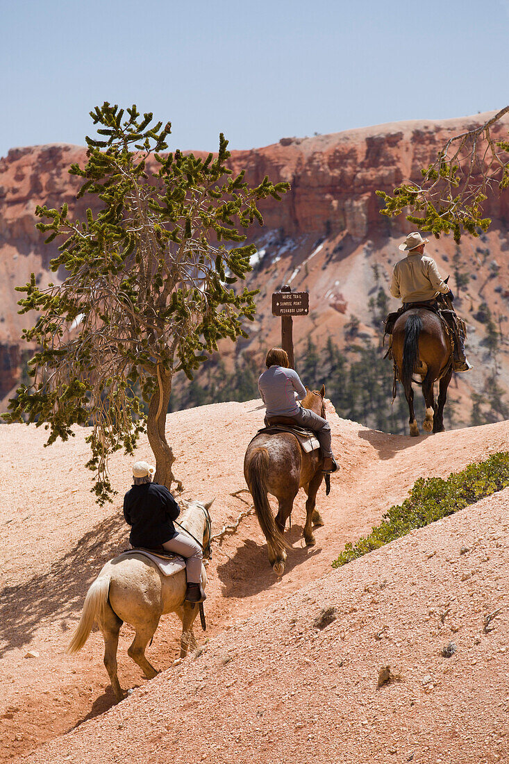 Reiten durch den Bryce Canyon Nationalpark, Utah, Vereinigte Staaten von Amerika, Nordamerika