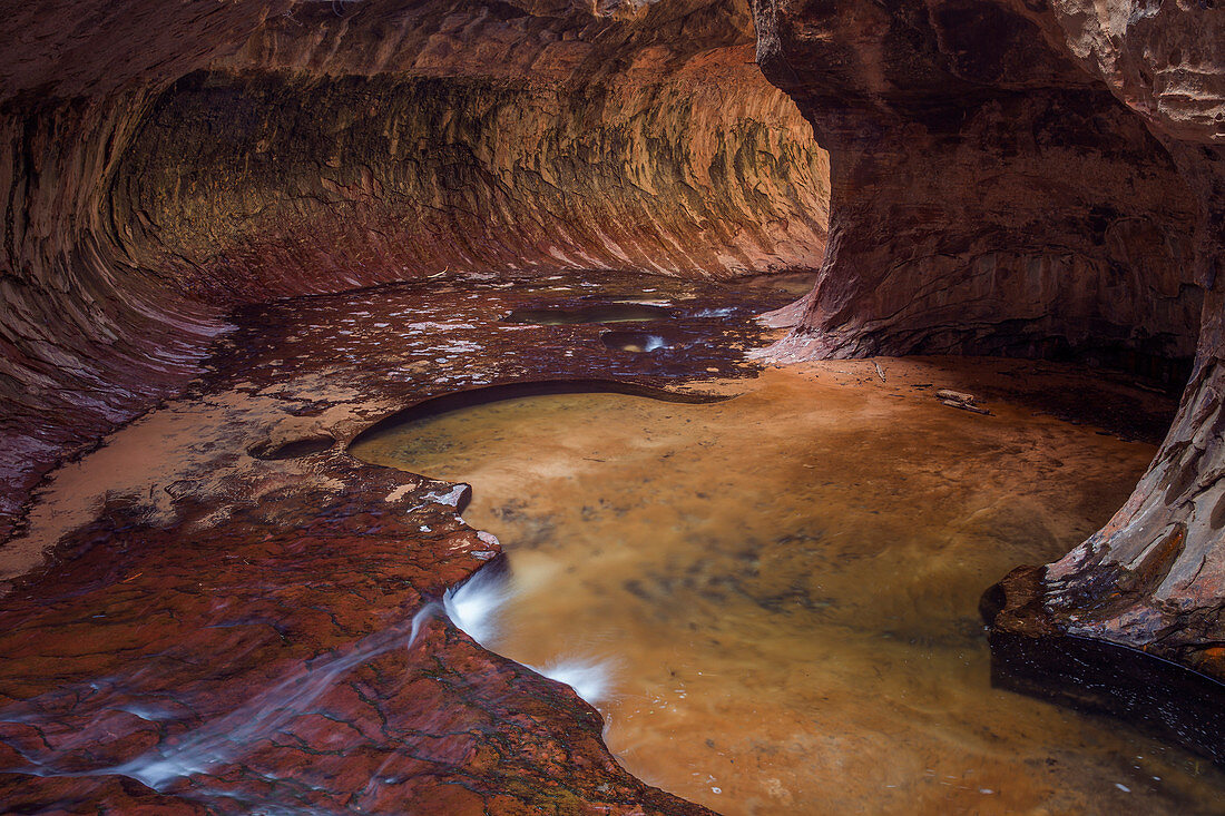 Die U-Bahn, Zion Nationalpark, Utah, Vereinigte Staaten von Amerika, Nordamerika