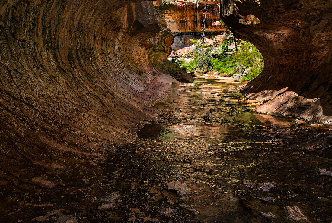 Exiting the Subway Zion National Park, Utah, United States of America, North America