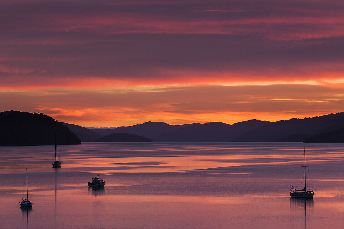 Dawn over the calm waters of Queen Charlotte Sound, South Island, New Zealand, Pacific