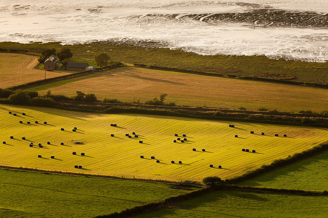 Seaside Farm, Heuballen Pfeffer üppige Ackerland und bunte Felder in Abend Sonnenlicht in der Nähe Aber, Snowdonia, Wales, Großbritannien, Europa