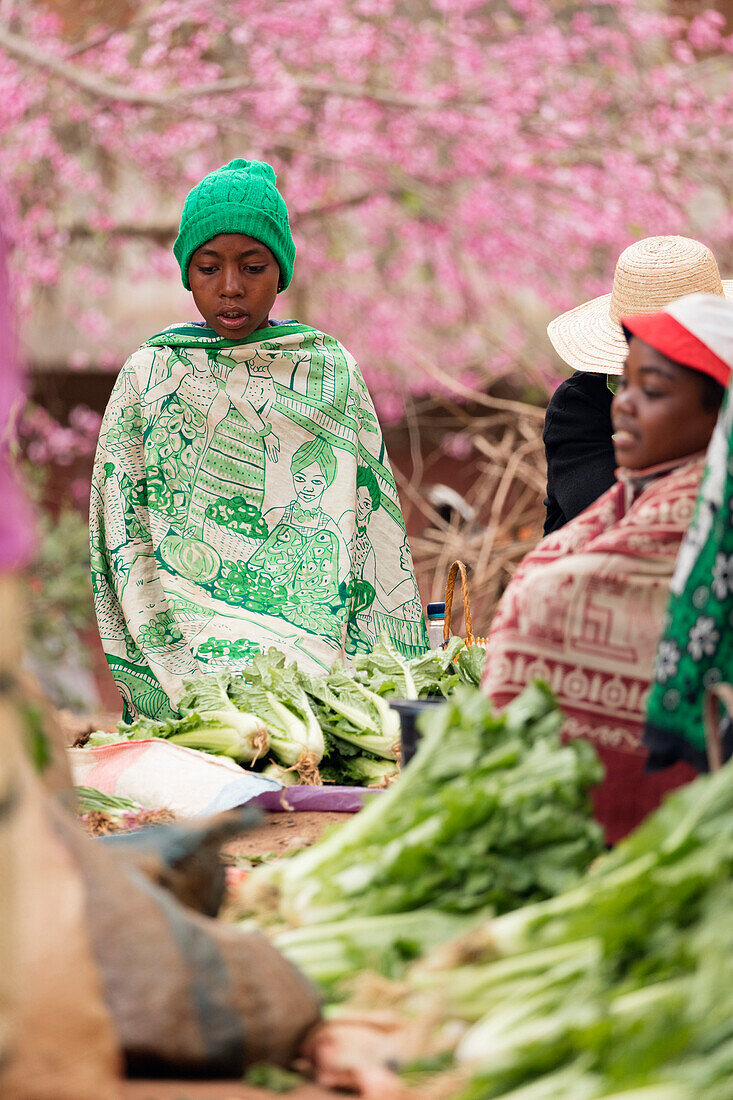 Gemüseverkäufer, Sendrisoa Wochenmarkt, in der Nähe von Ambalavao, Zentral-Madagaskar, Afrika