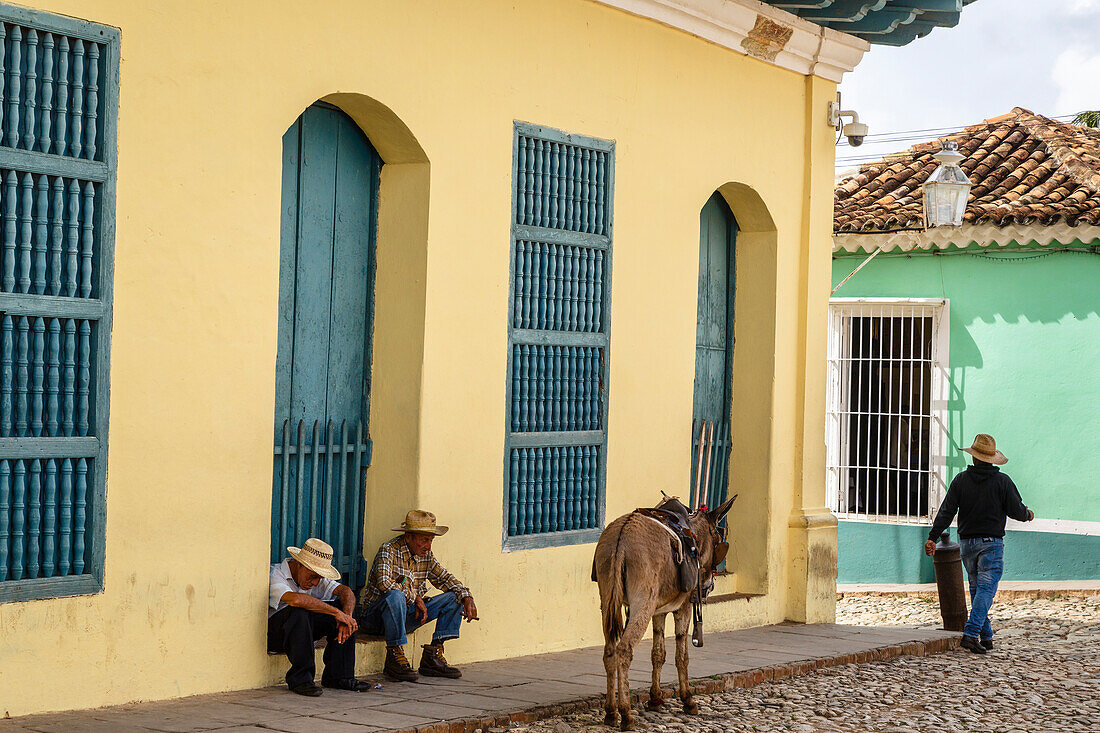 Ältere Männer sitzen mit Esel auf der Straße, Trinidad, Sancti Spiritus Provinz, Kuba, Westindische Inseln, Karibik, Mittelamerika