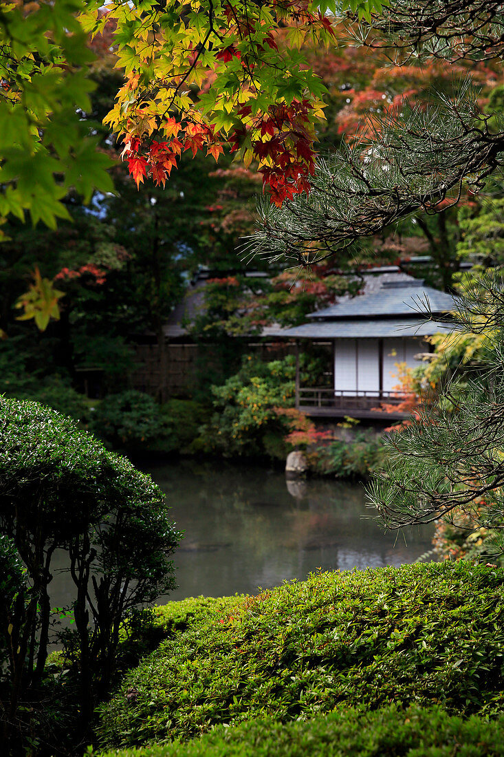 Japanischer Garten außerhalb des Tokugawa-Mausoleums, UNESCO-Weltkulturerbe, Nikko, Honshu, Japan, Asien