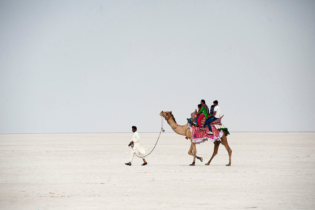 Indian family enjoying a camel ride in the white desert, a seasonal salt marsh in the Great Rann of Kutch, Kutch, Gujarat, India, Asia