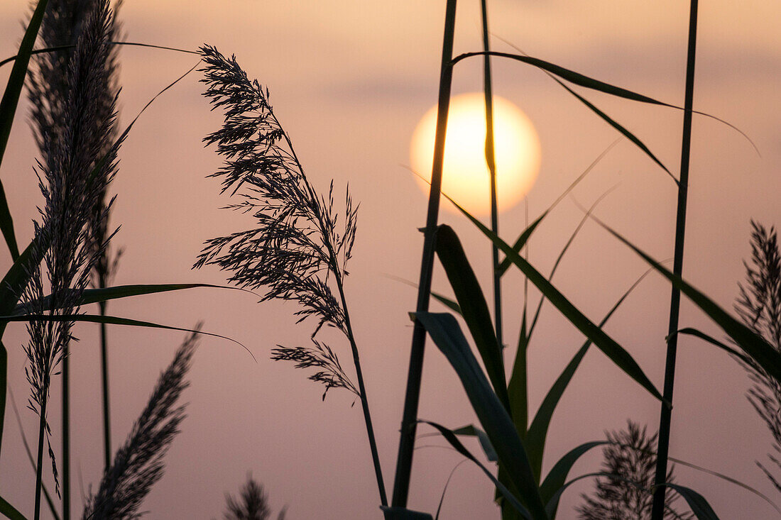 Sonnenaufgang mit Schif, Italien