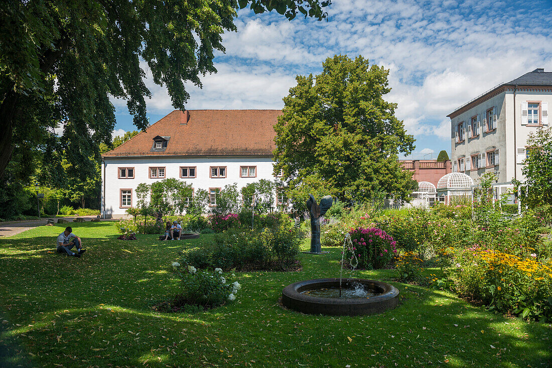 Rose garden, Ettlingen, Black Forest, Baden-Wuerttemberg, Germany