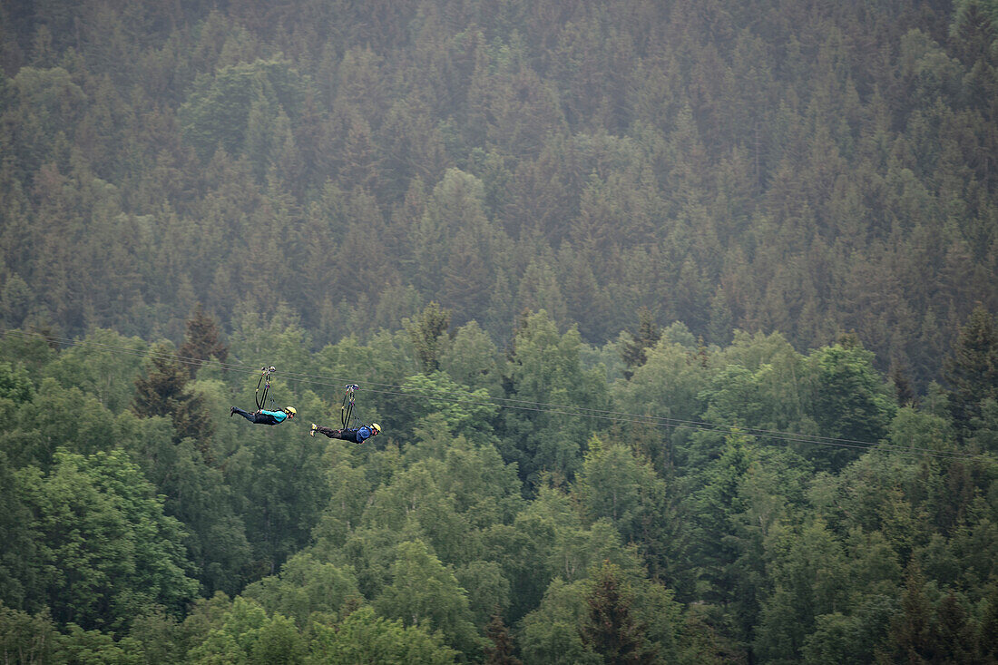 Zipline am Stausee der Talsperre Wendefurth, Harz Nationalpark, Sachsen-Anhalt, Deutschland